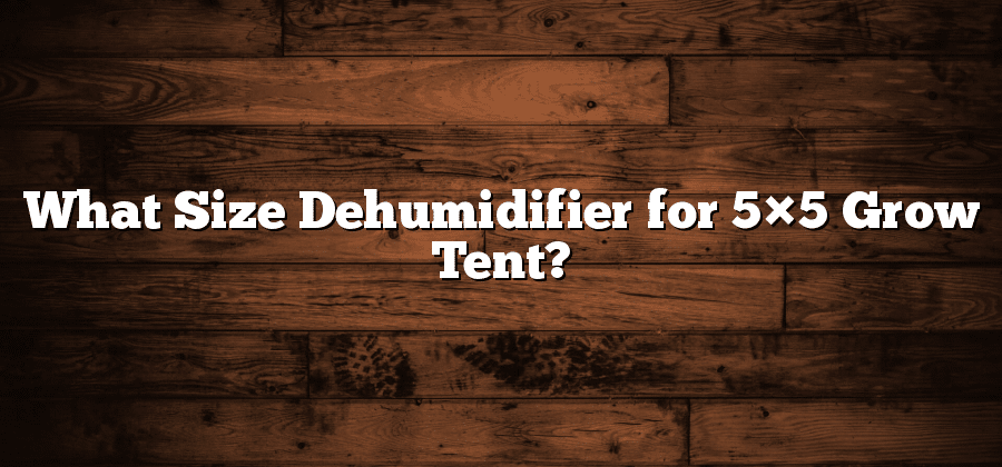 What Size Dehumidifier for 5×5 Grow Tent?