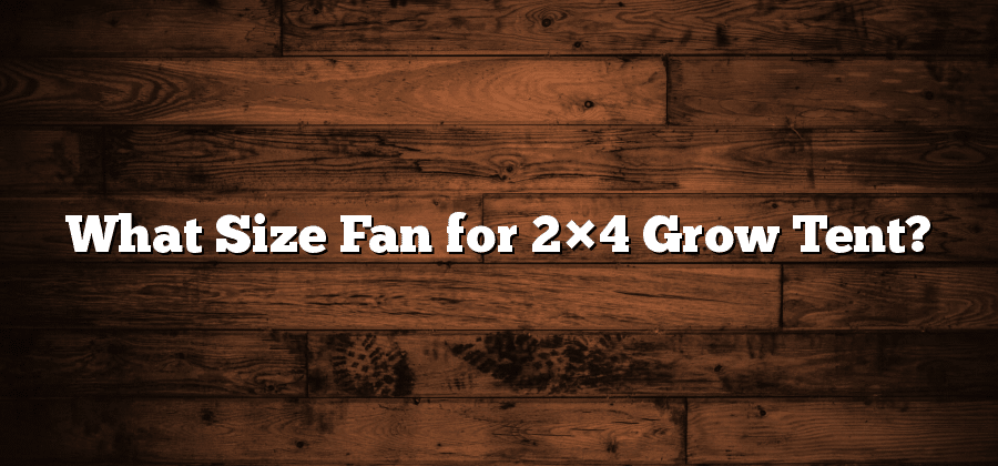 What Size Fan for 2×4 Grow Tent?