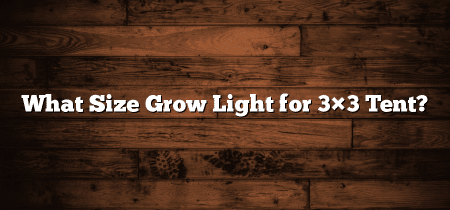 What Size Grow Light for 3×3 Tent?