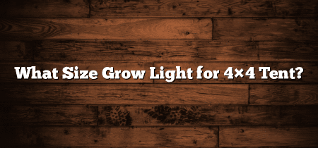 What Size Grow Light for 4×4 Tent?
