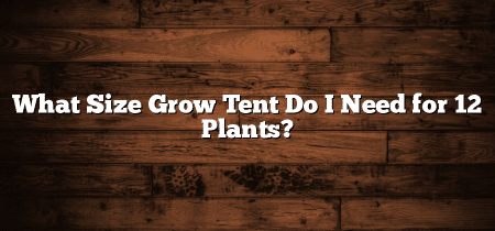 What Size Grow Tent Do I Need for 12 Plants?