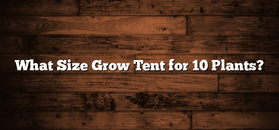 What Size Grow Tent for 10 Plants?
