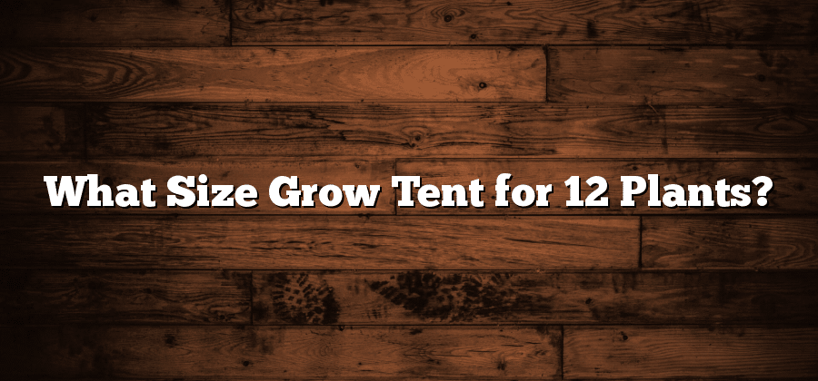 What Size Grow Tent for 12 Plants?