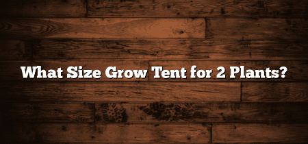 What Size Grow Tent for 2 Plants?