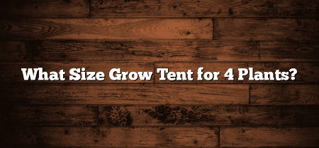 What Size Grow Tent for 4 Plants?