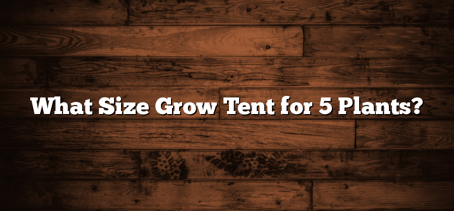 What Size Grow Tent for 5 Plants?