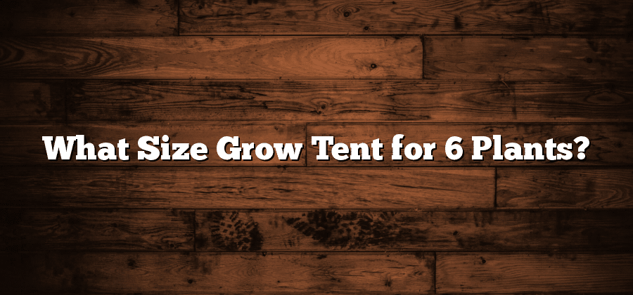 What Size Grow Tent for 6 Plants?