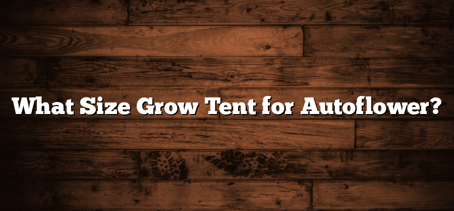 What Size Grow Tent for Autoflower?