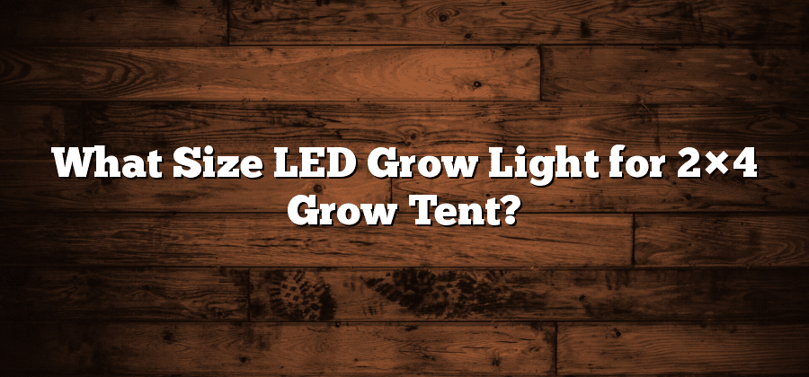 What Size LED Grow Light for 2×4 Grow Tent?