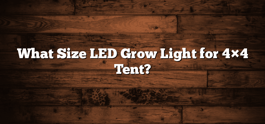 What Size LED Grow Light for 4×4 Tent?