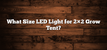 What Size LED Light for 2×2 Grow Tent?