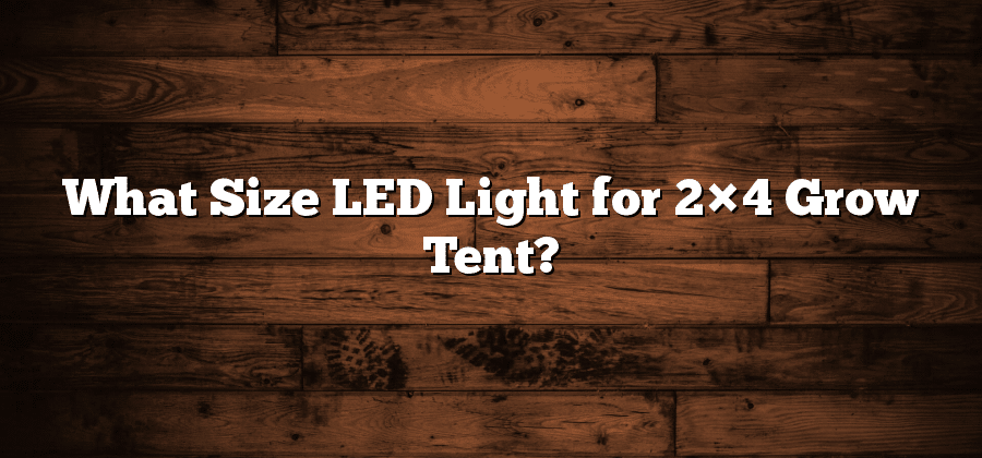 What Size LED Light for 2×4 Grow Tent?