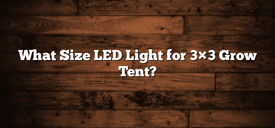 What Size LED Light for 3×3 Grow Tent?