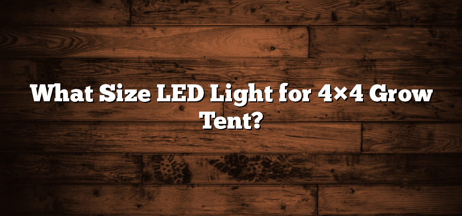 What Size LED Light for 4×4 Grow Tent?