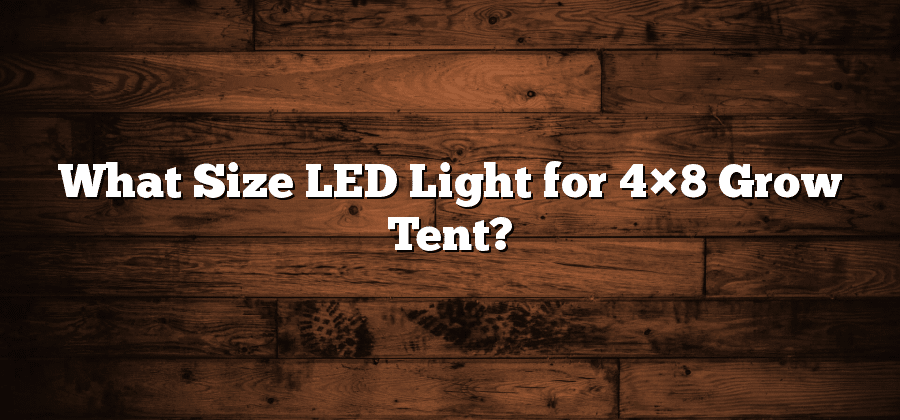 What Size LED Light for 4×8 Grow Tent?