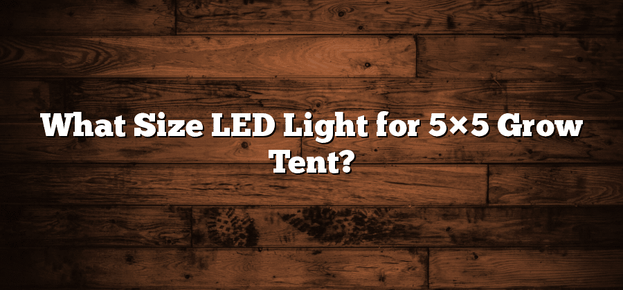What Size LED Light for 5×5 Grow Tent?