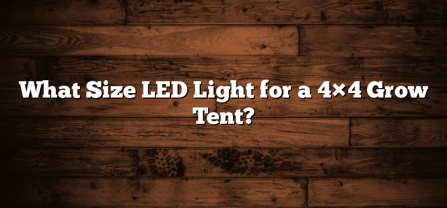 What Size LED Light for a 4×4 Grow Tent?