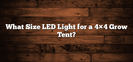 What Size LED Light for a 4×4 Grow Tent?