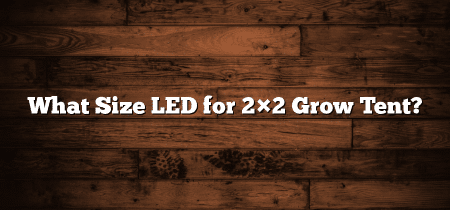 What Size LED for 2×2 Grow Tent?