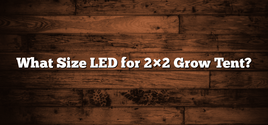 What Size LED for 2×2 Grow Tent?