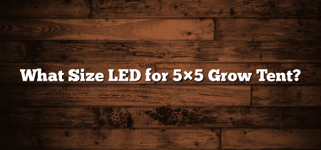 What Size LED for 5×5 Grow Tent?