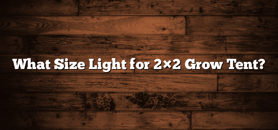 What Size Light for 2×2 Grow Tent?