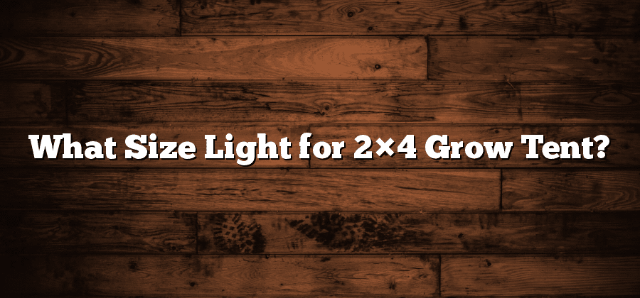 What Size Light for 2×4 Grow Tent?