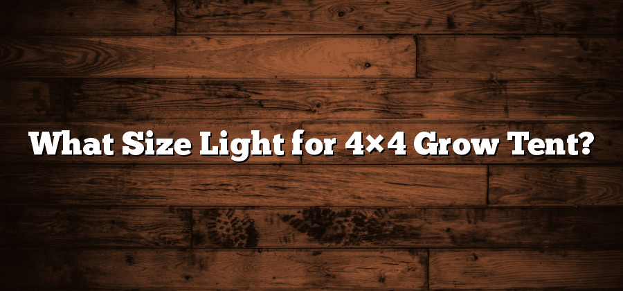What Size Light for 4×4 Grow Tent?