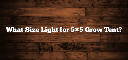 What Size Light for 5×5 Grow Tent?