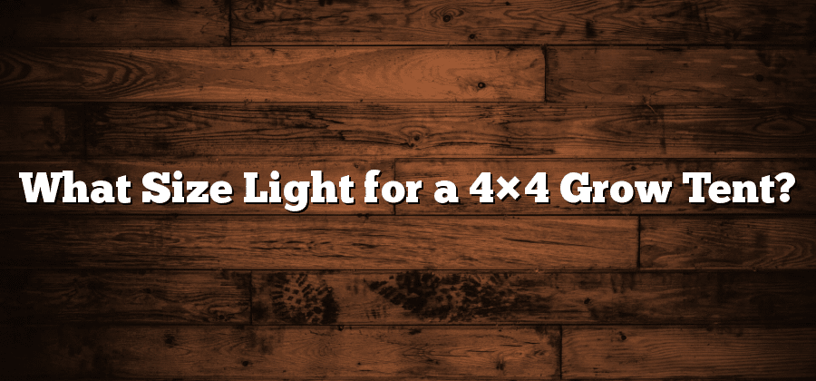 What Size Light for a 4×4 Grow Tent?