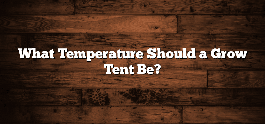 What Temperature Should a Grow Tent Be?