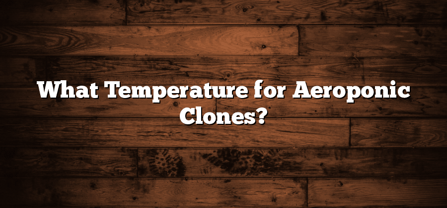 What Temperature for Aeroponic Clones?