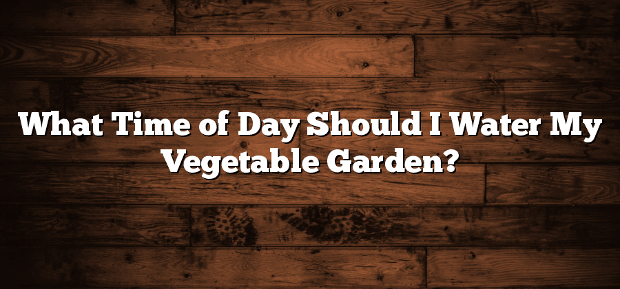 What Time of Day Should I Water My Vegetable Garden?