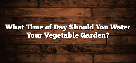 What Time of Day Should You Water Your Vegetable Garden?