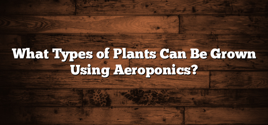 What Types of Plants Can Be Grown Using Aeroponics?