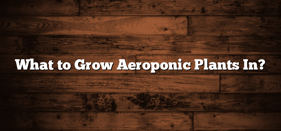 What to Grow Aeroponic Plants In?