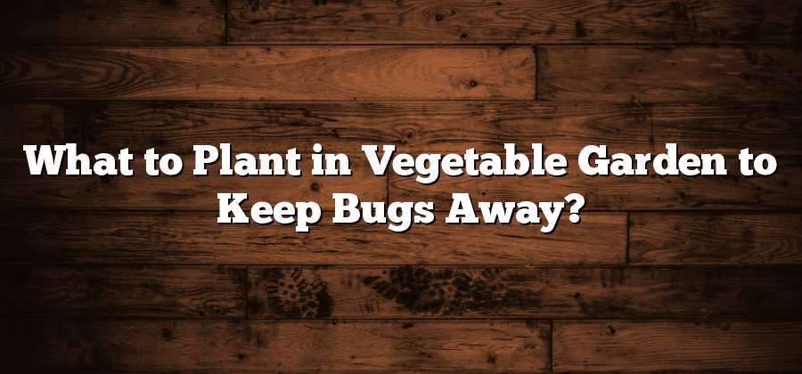 What to Plant in Vegetable Garden to Keep Bugs Away?