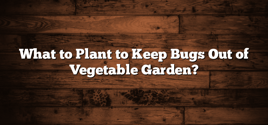 What to Plant to Keep Bugs Out of Vegetable Garden?