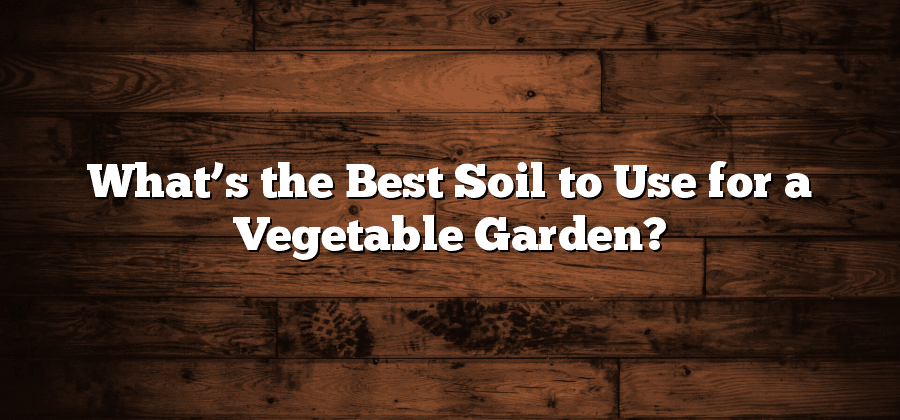 What’s the Best Soil to Use for a Vegetable Garden?