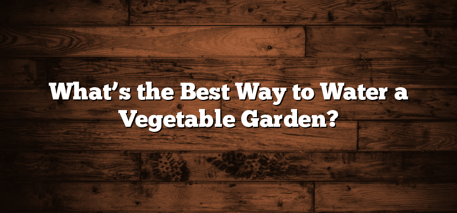 What’s the Best Way to Water a Vegetable Garden?