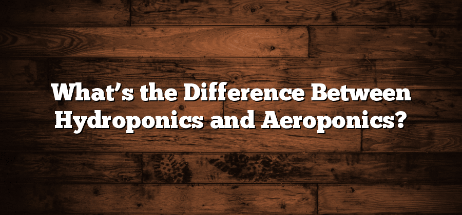 What’s the Difference Between Hydroponics and Aeroponics?