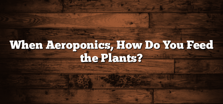 When Aeroponics, How Do You Feed the Plants?