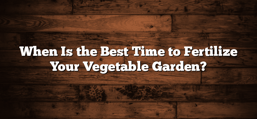 When Is the Best Time to Fertilize Your Vegetable Garden?