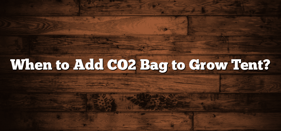 When to Add CO2 Bag to Grow Tent?