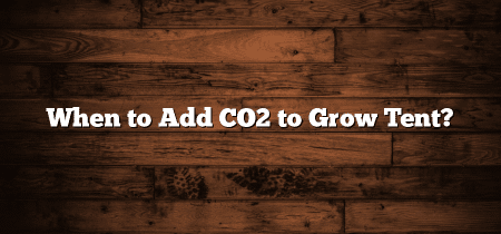 When to Add CO2 to Grow Tent?