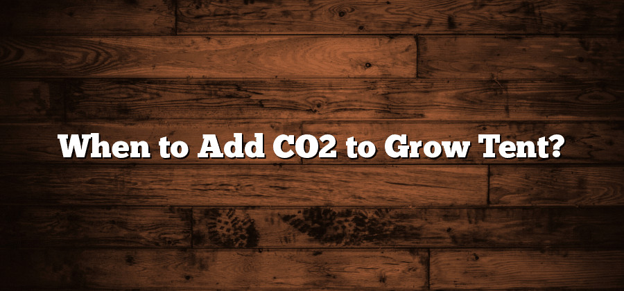 When to Add CO2 to Grow Tent?