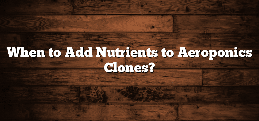 When to Add Nutrients to Aeroponics Clones?