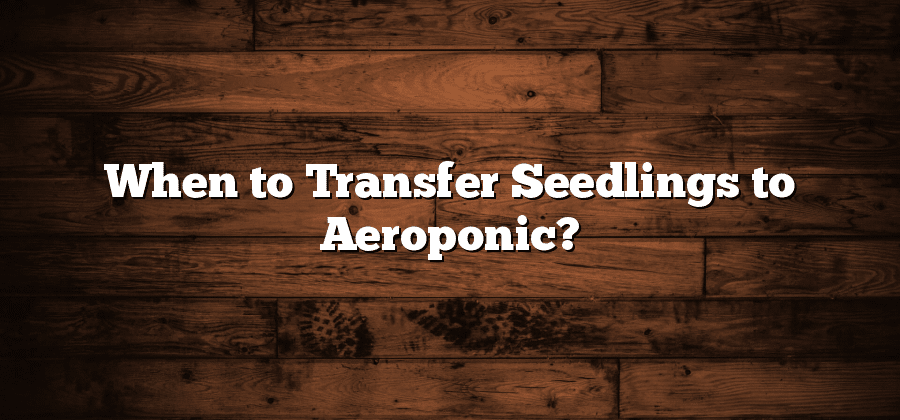 When to Transfer Seedlings to Aeroponic?