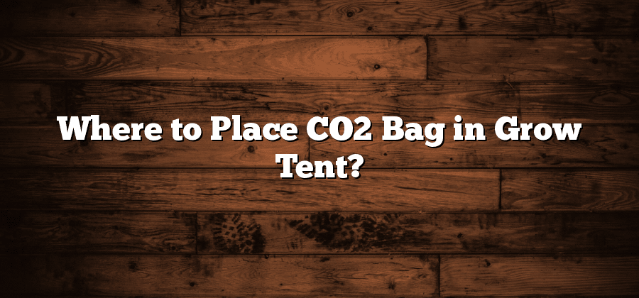 Where to Place CO2 Bag in Grow Tent?