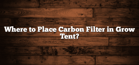 Where to Place Carbon Filter in Grow Tent?